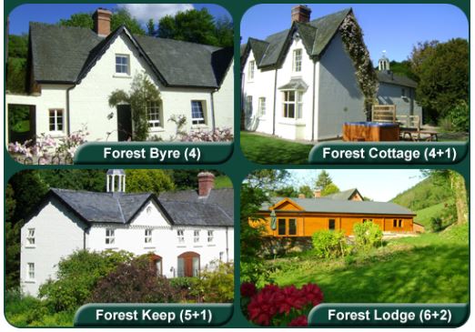 The Forest Cottages Self Catering, Kerry, Newtown