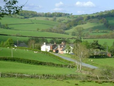 Holly Cottage Self Catering, Hodley